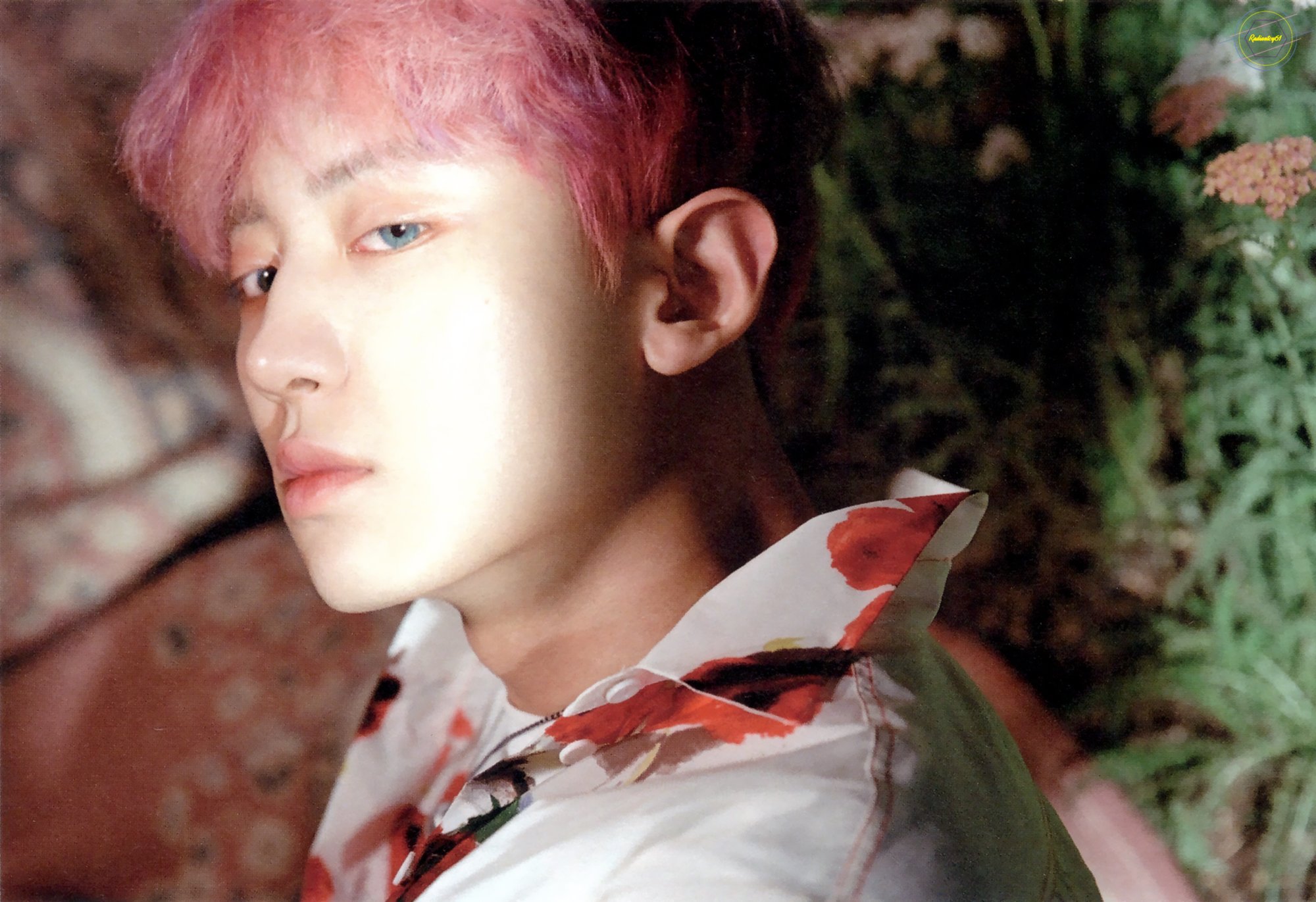 Chanyeol Byeol Korea