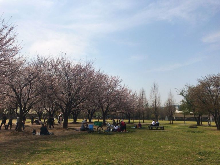 Seoul Forest Byeol Korea