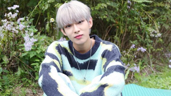 LUMINOUS Steven Profile