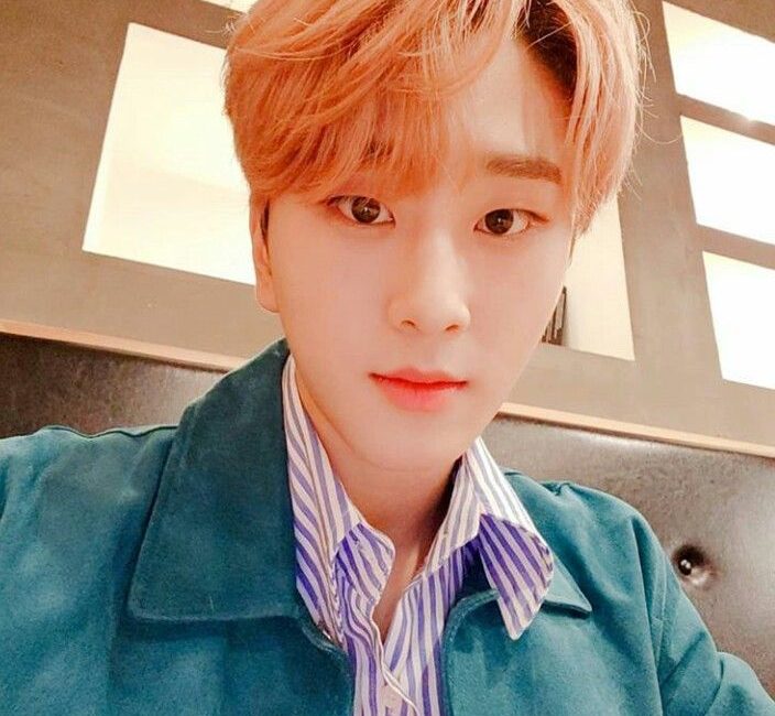 Newkidd Jinkwon Profile | Byeol Korea!